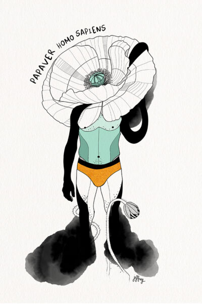 Papaver Homo Sapiens